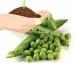 Thomas Laxton Pea Garden Seeds - 5 Lbs - Non-GMO, Heirloom Vegetable Gardening & Microgreens Seeds   565529884